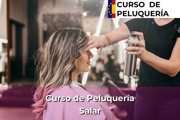 Curso de Peluquería en Andalucía 173 Curso de Peluquería en Salar