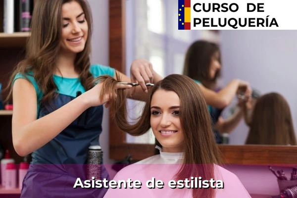 Asistente de estilista